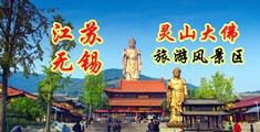 流水屄江苏无锡灵山大佛旅游风景区